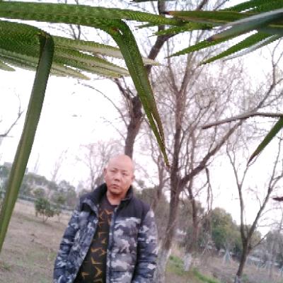 上帝