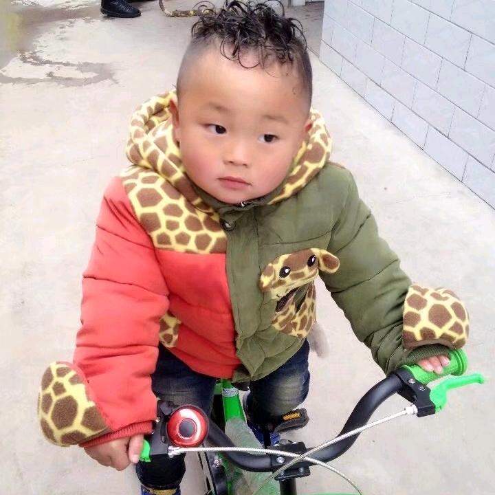 展翅飞翔