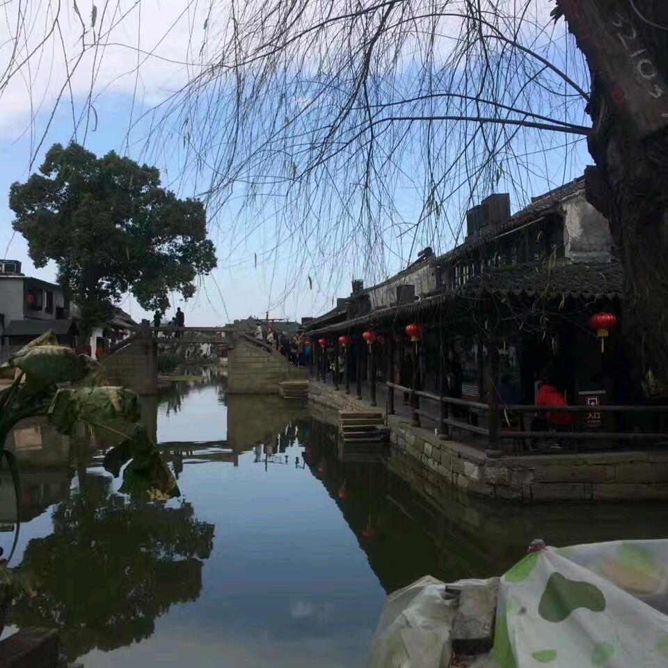 江南伊人
