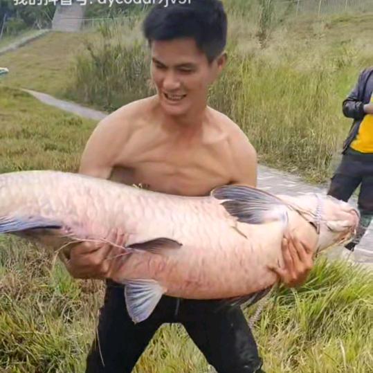 @户外野钓（啊贵）