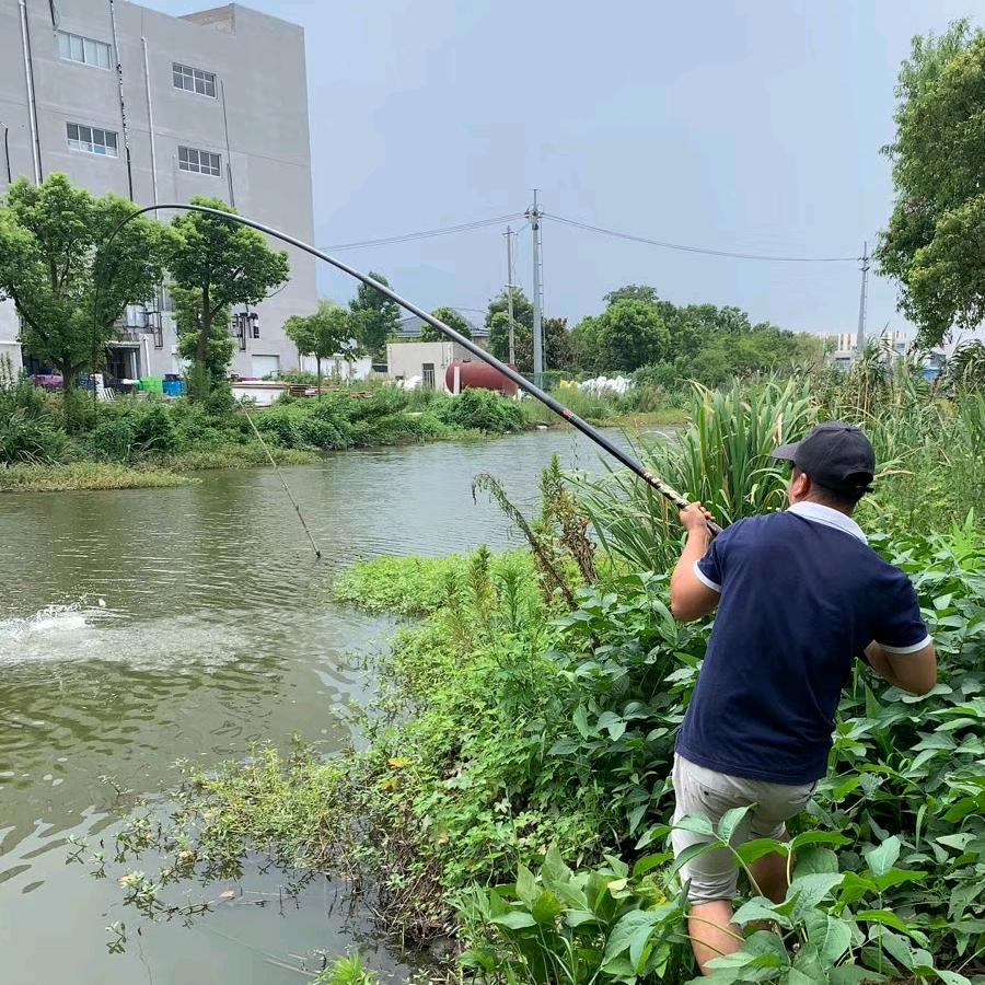钓鱼小王子