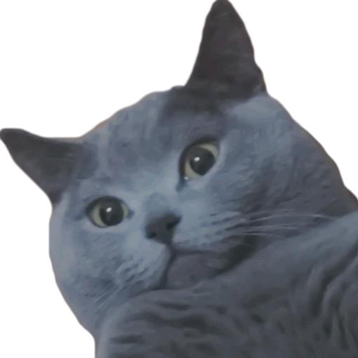 环球趣事
