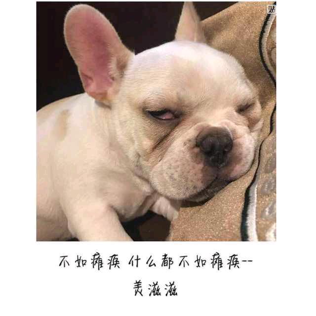 灰色头像