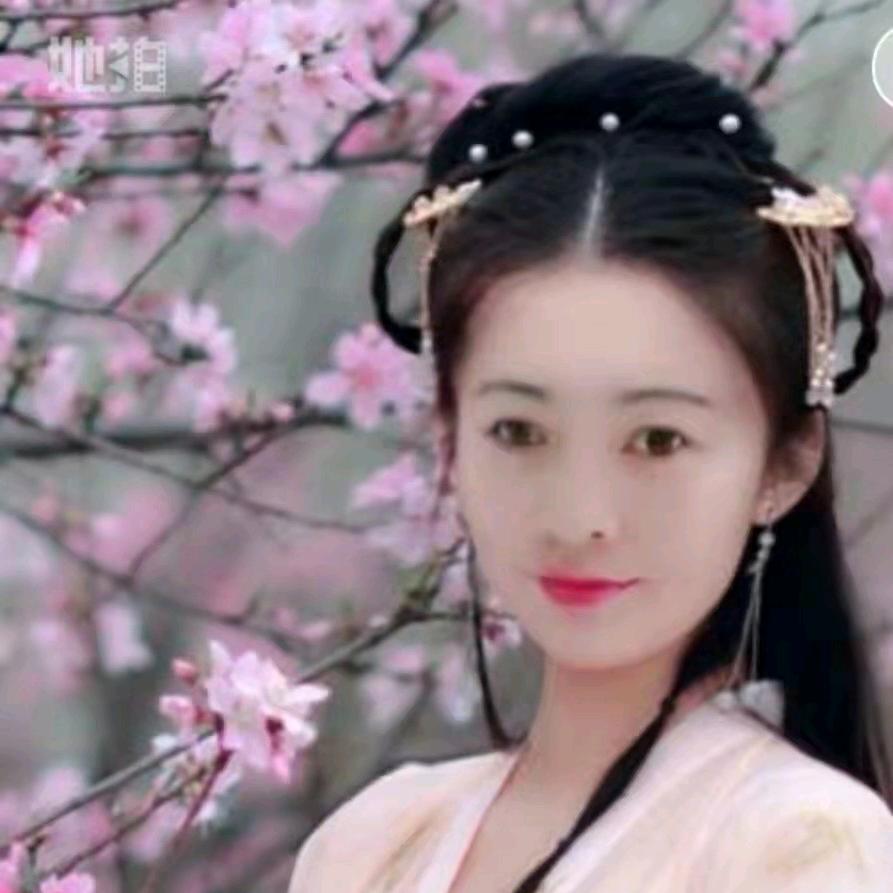 花开无声