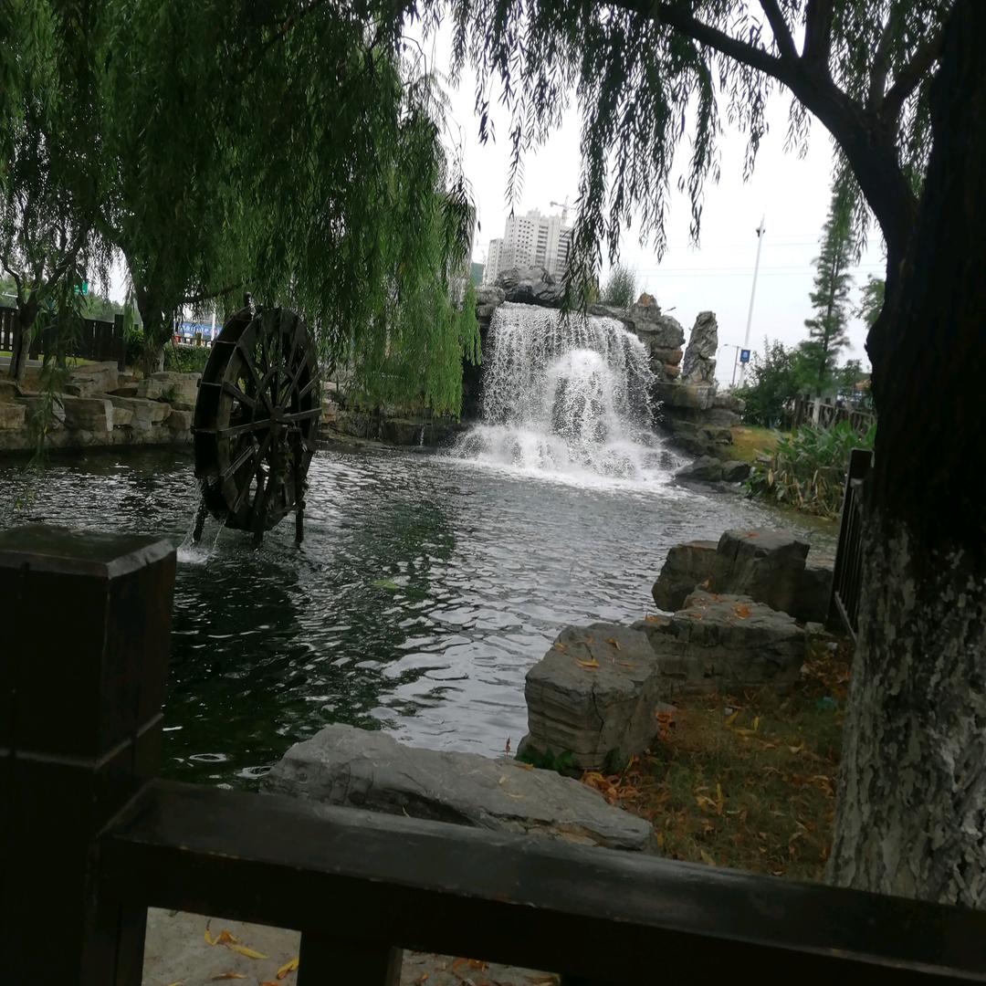海的阳光