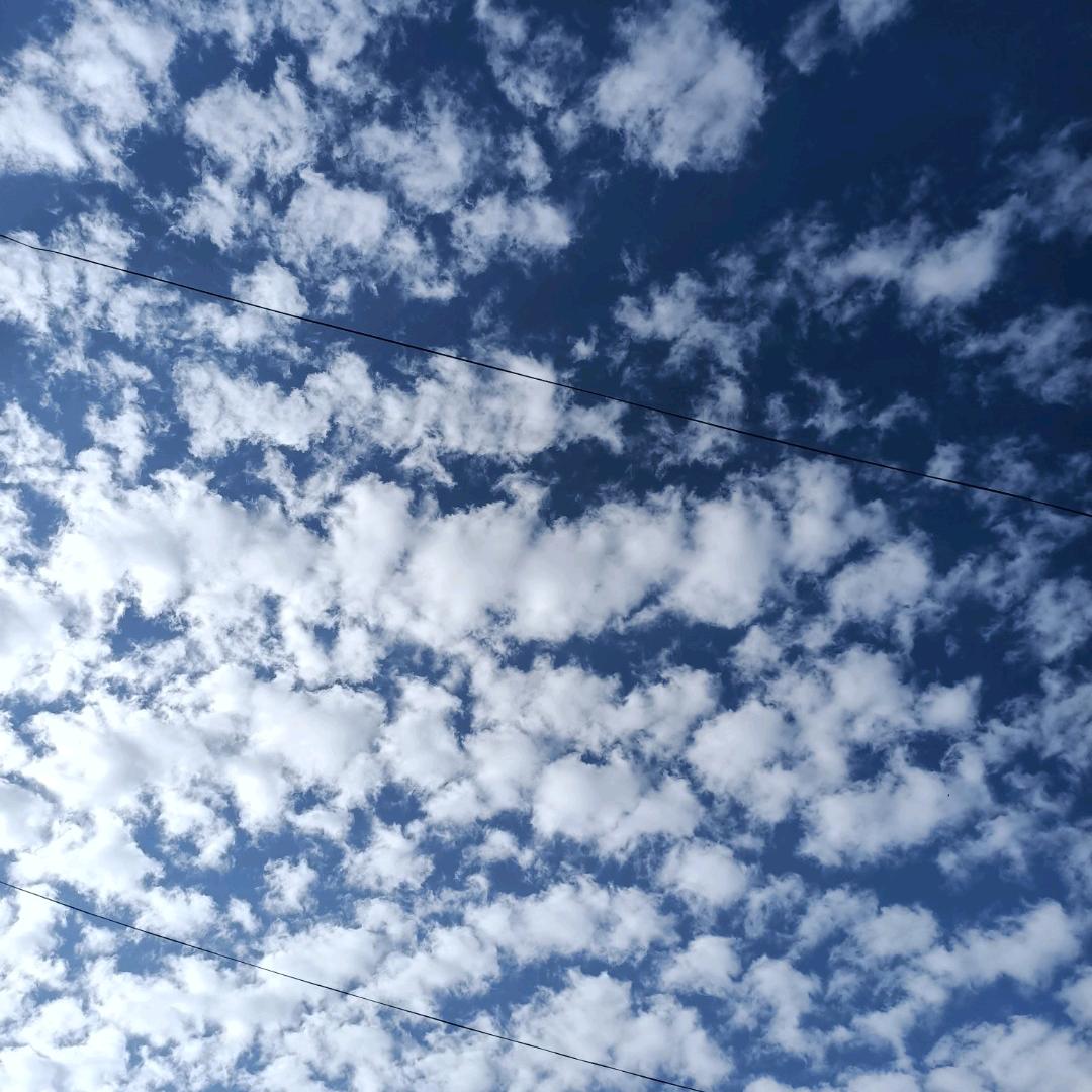 龙行⭐小皮猴子