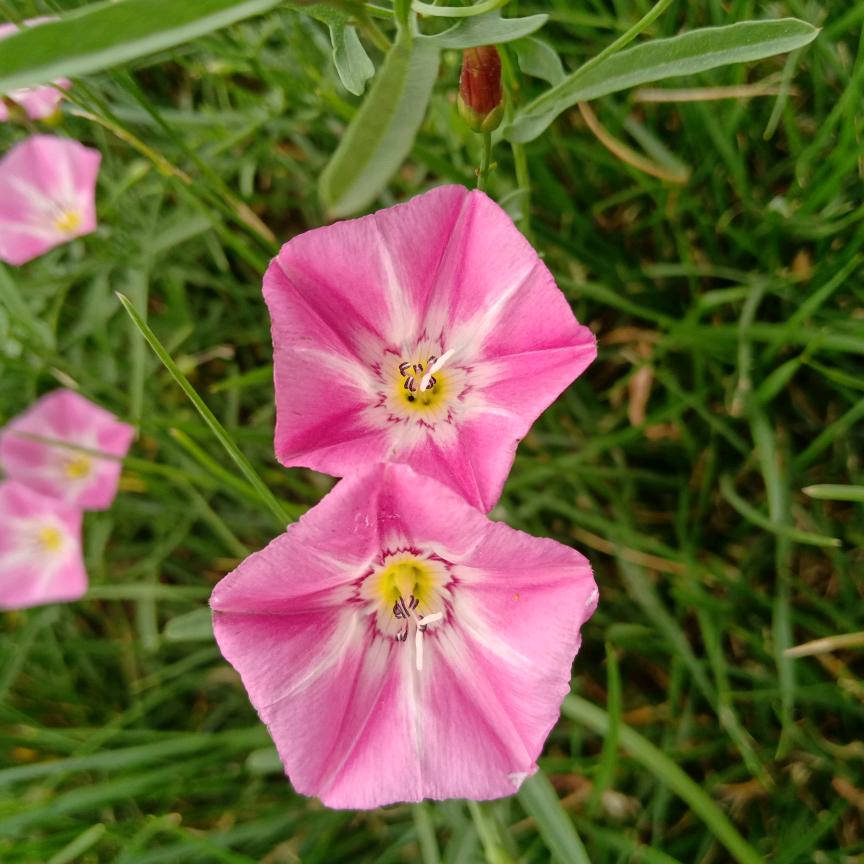 🍂((烟🍁酒🍁浪🔥子))🍂