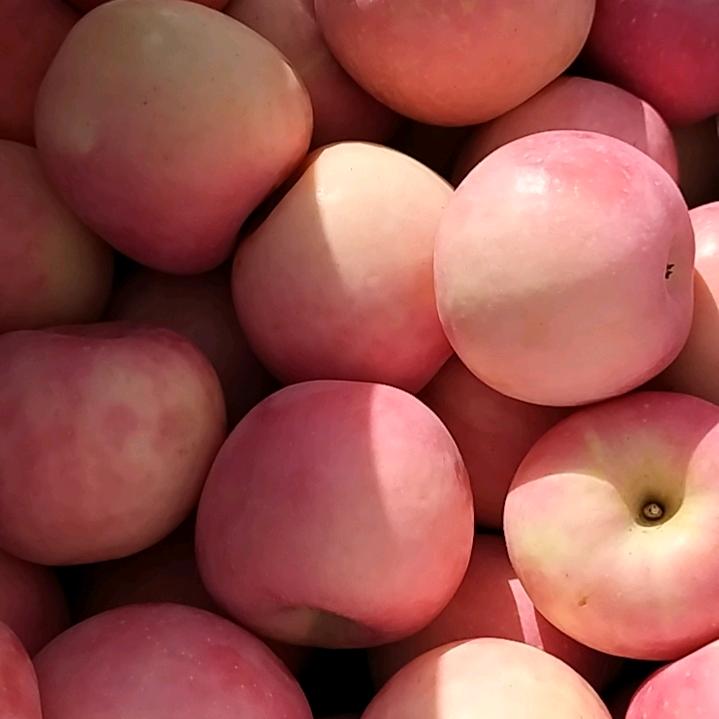 水果瘦瘦