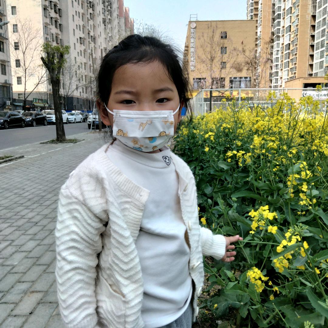 梦之家