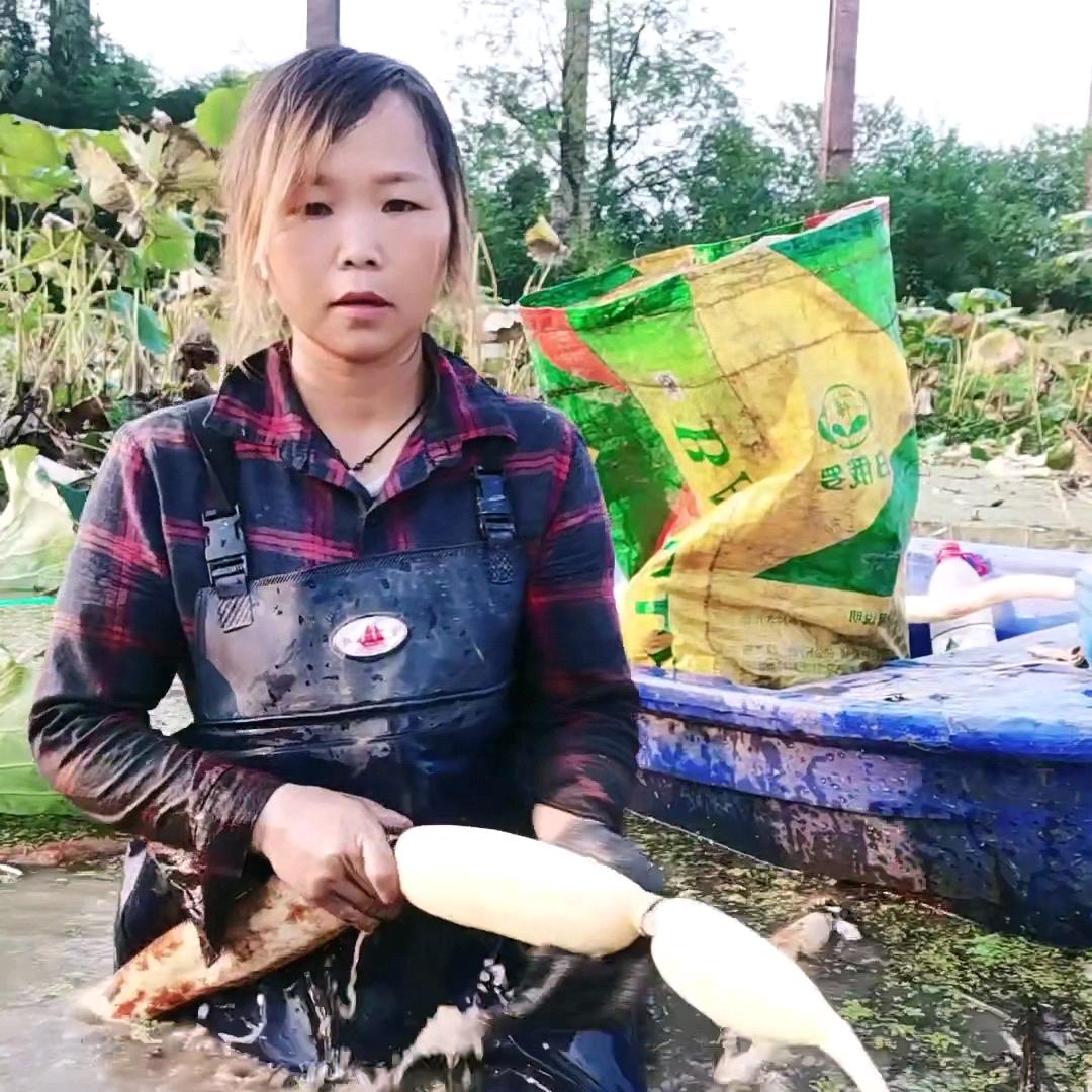 蔡藕姐姐