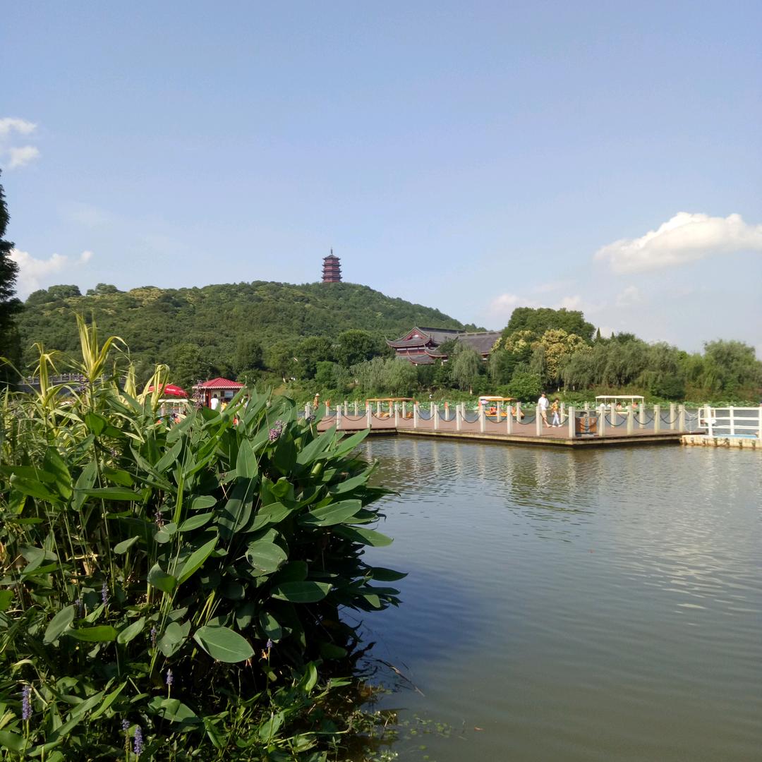 江南小亮215477057