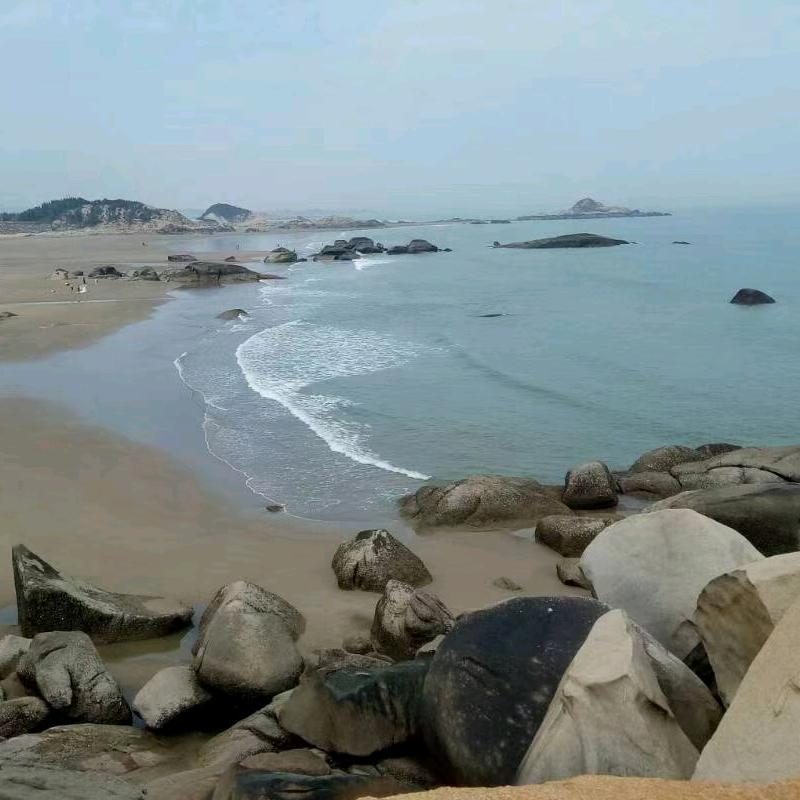 梧桐花落凤别凰