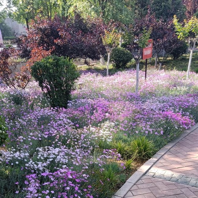 手机用户54188060129