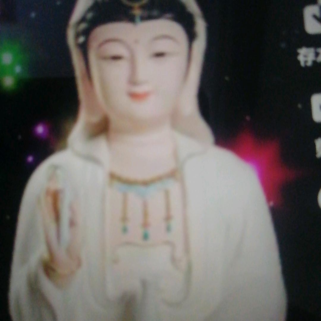 善待一切