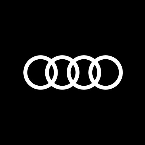 一汽奥迪 吕梁大昌瑞升