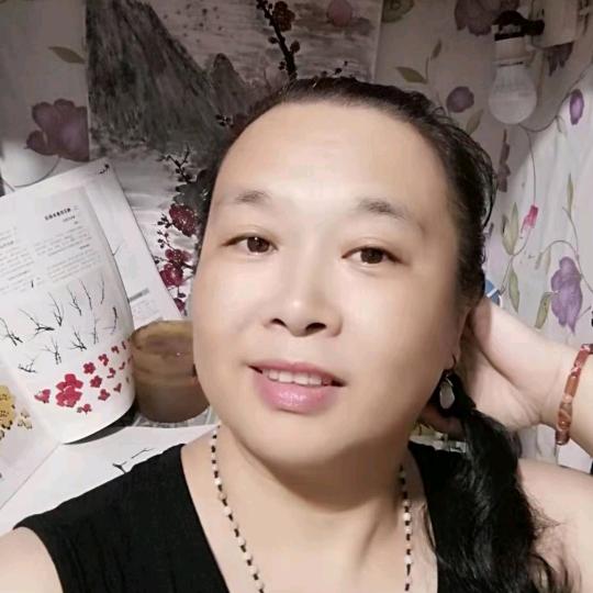 喜梅国画梅花教学