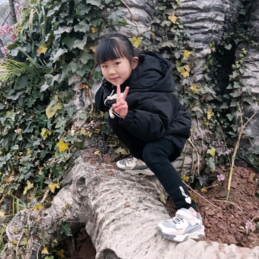 自由自在