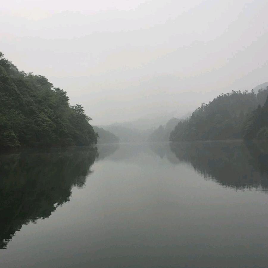 马大哈