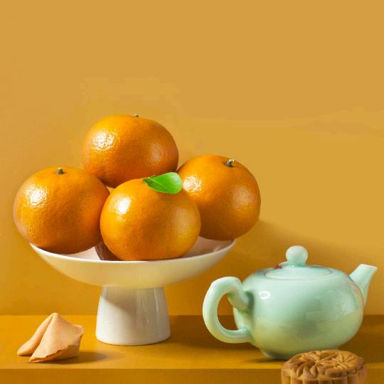 杨葱头