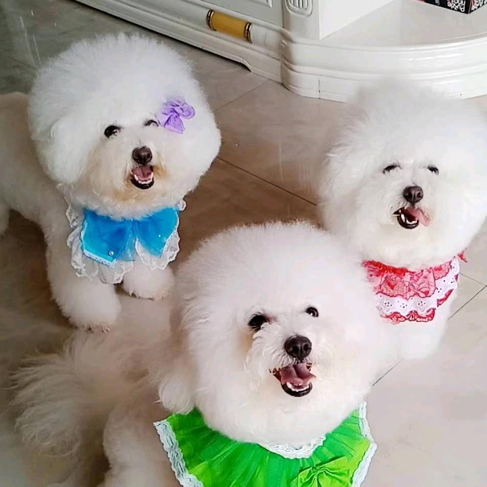 墩妈手工（去泪痕）