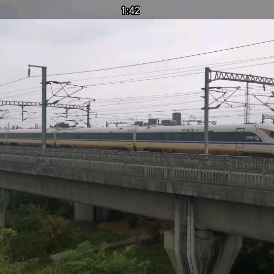 阿振不逗！     🚶