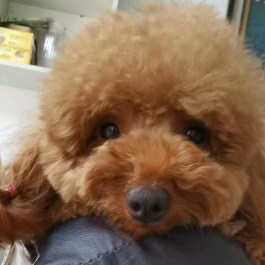 同是绵竹牛马人