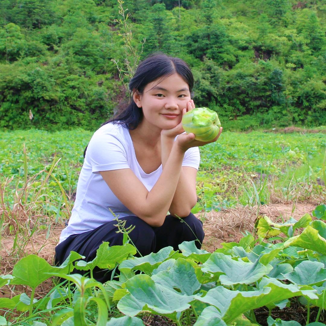 山里草香