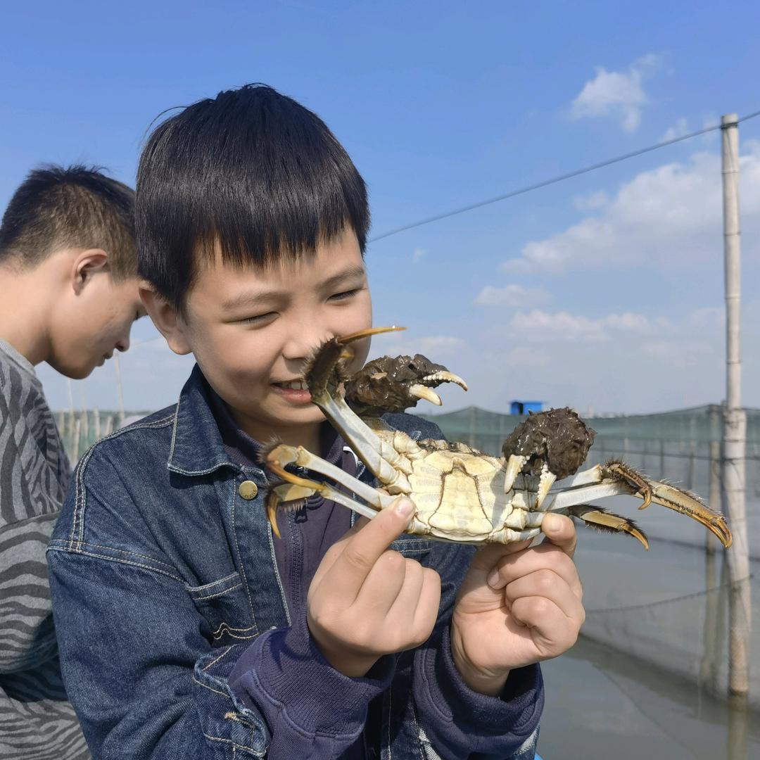 蟹小浪