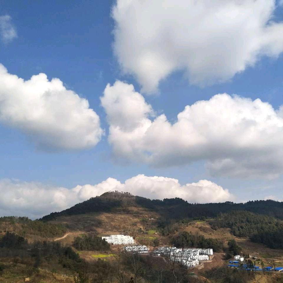 🎠挖呀挖呀挖