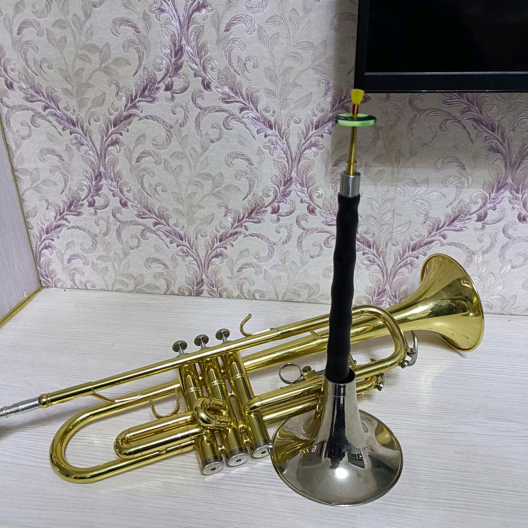 不一样的风景（乐队）