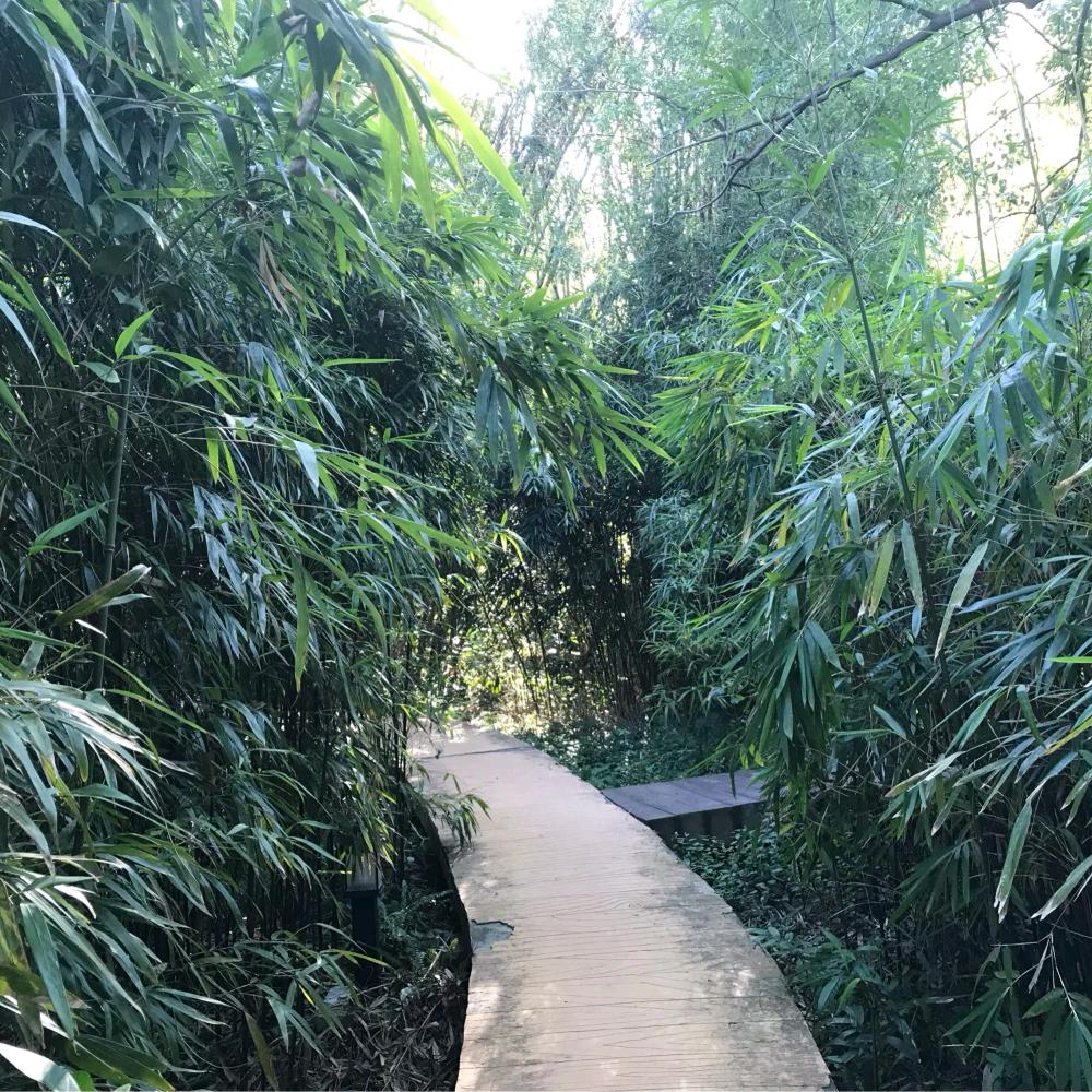 慕胡山老铺-麻哥