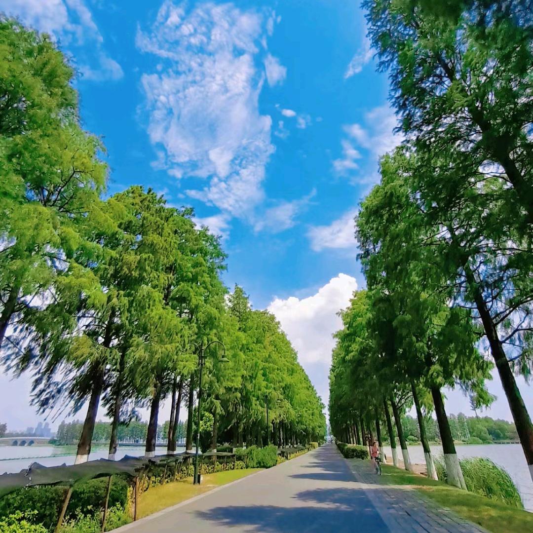 流年素写一世繁华