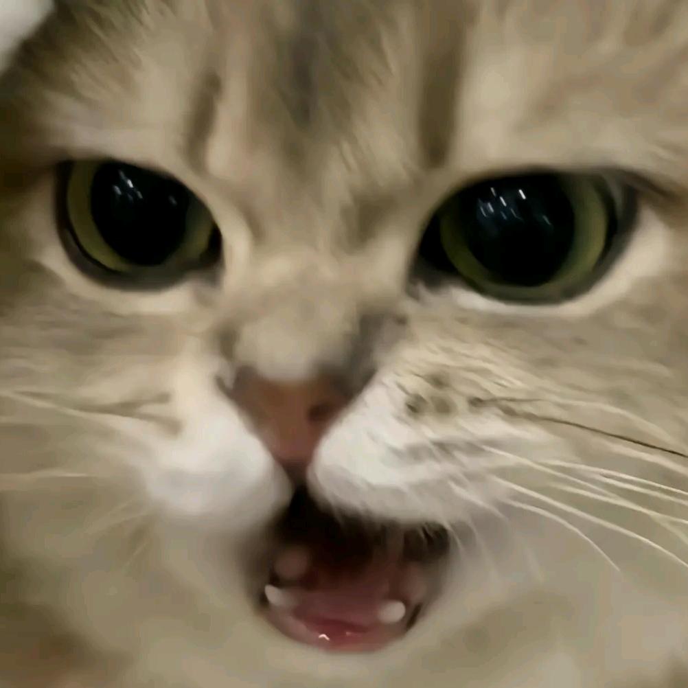 cn99