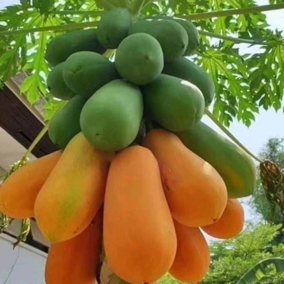 我爱我家。