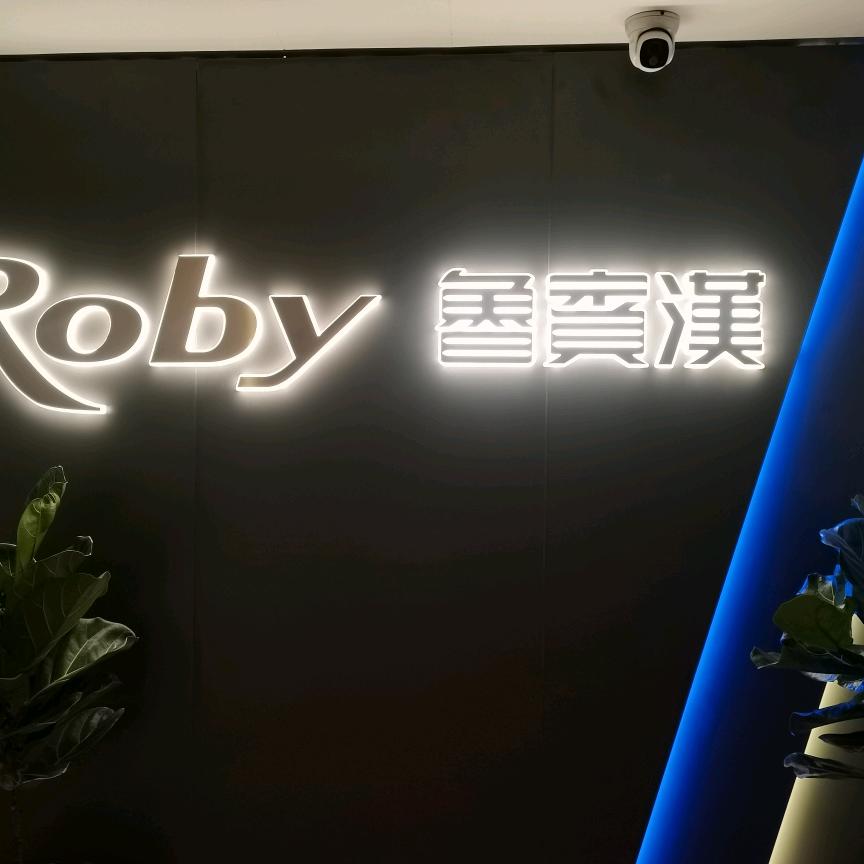 鲁宾汉秦志英
