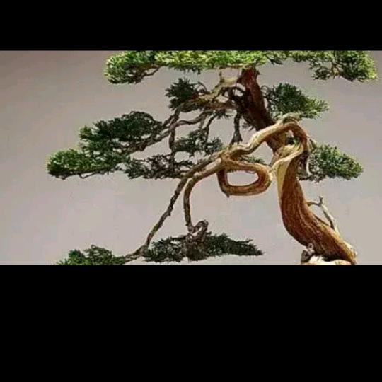 生活和工作日志