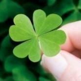 🍀岁月静好🍀