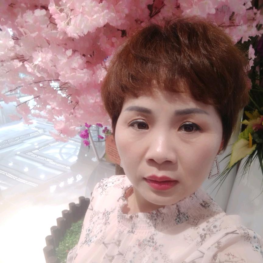 红姐在上海