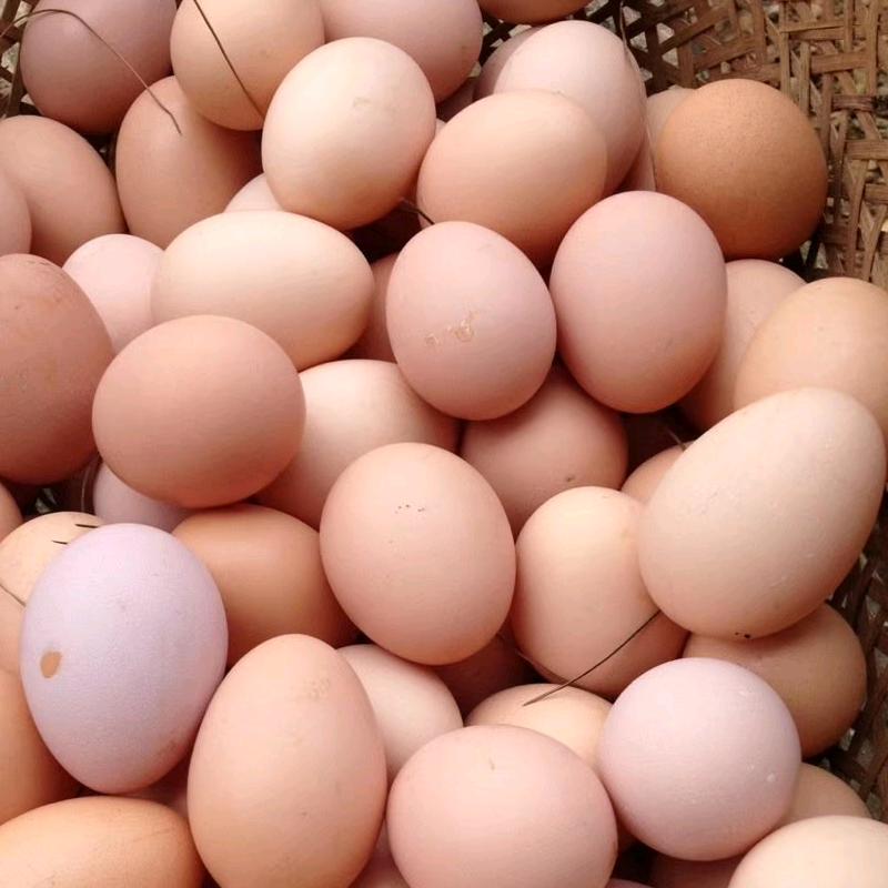 无锡展宏禽业有限公司