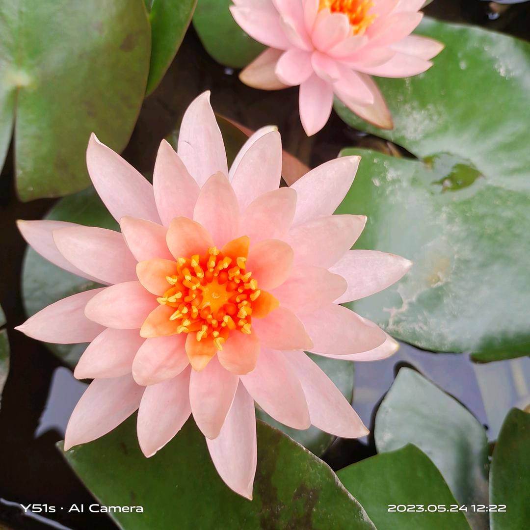 青青草原天路🍬🍬 ⁵¹⁷