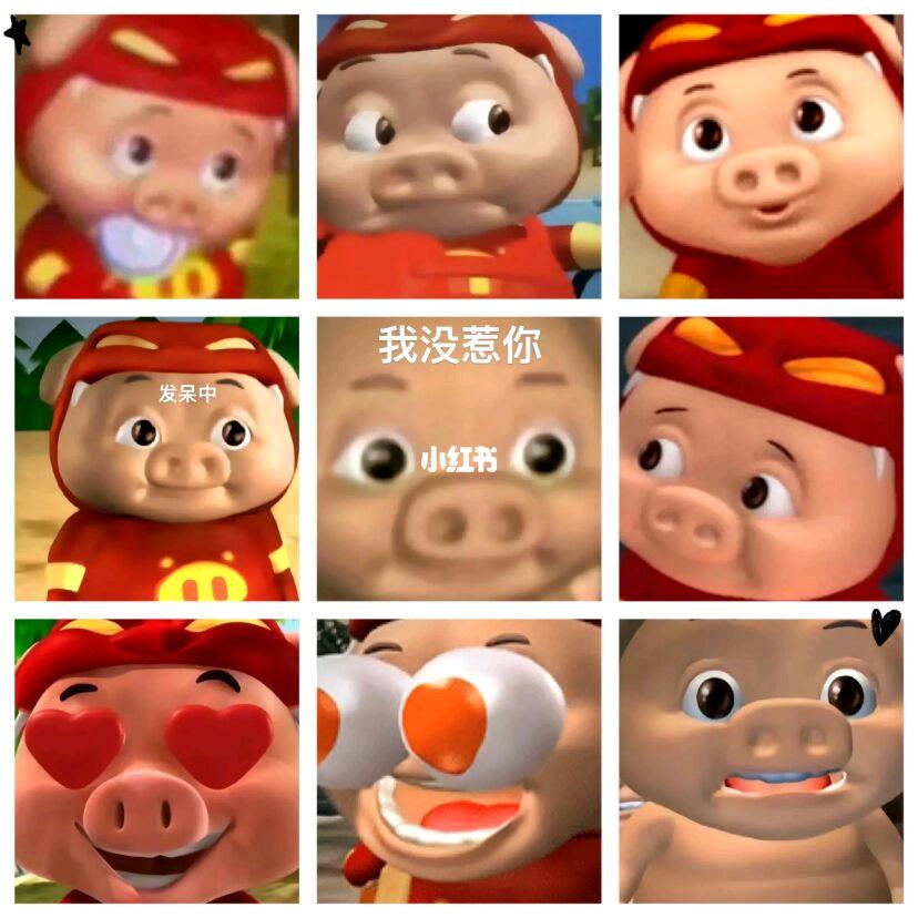 侯哥