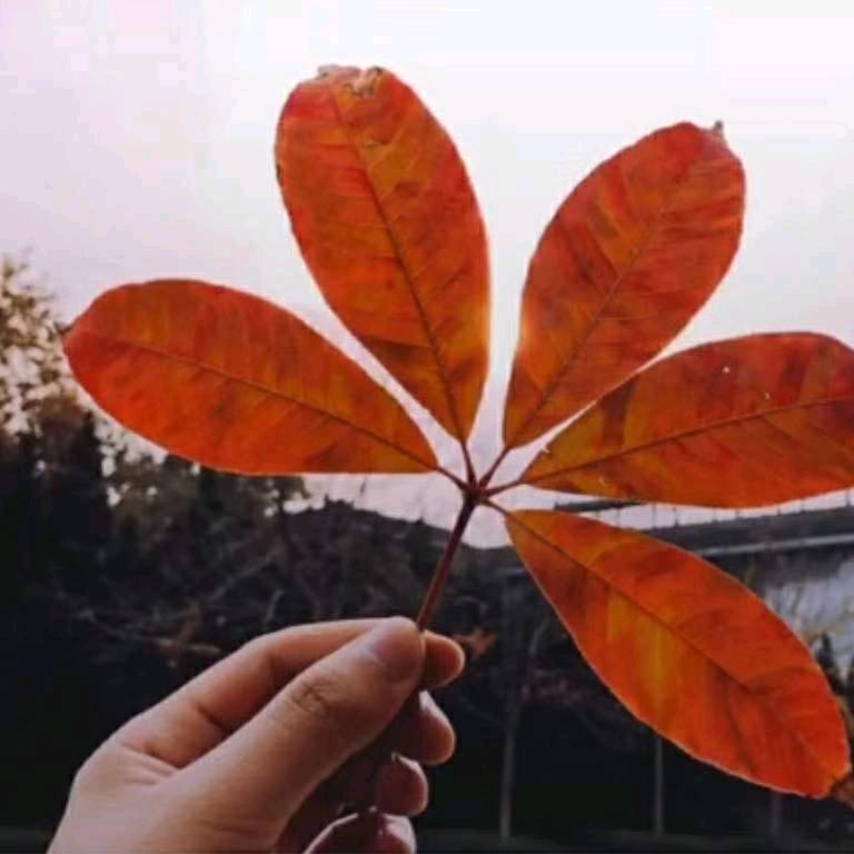 美尚美氪百货坊