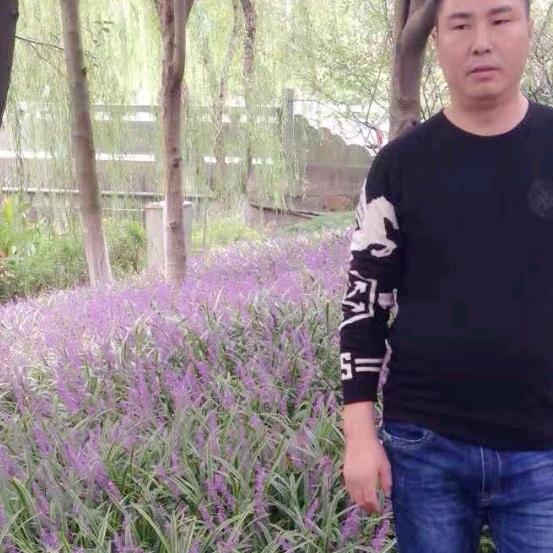 已重置