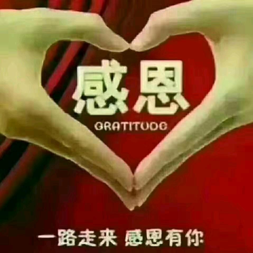 往事随风，往事随风晚上好