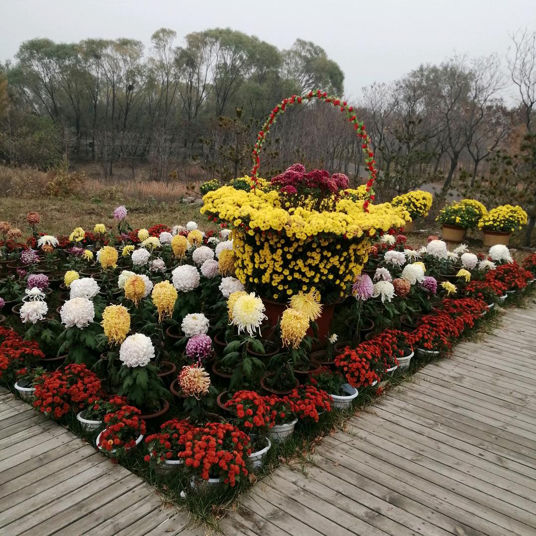 花中花