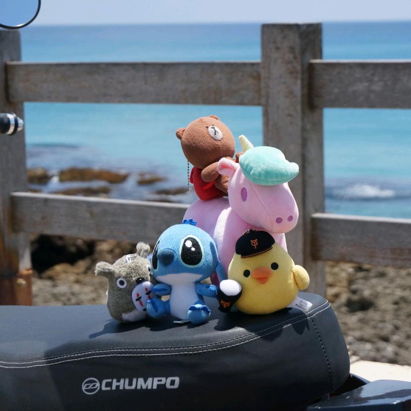 鸭屎香配莲子心