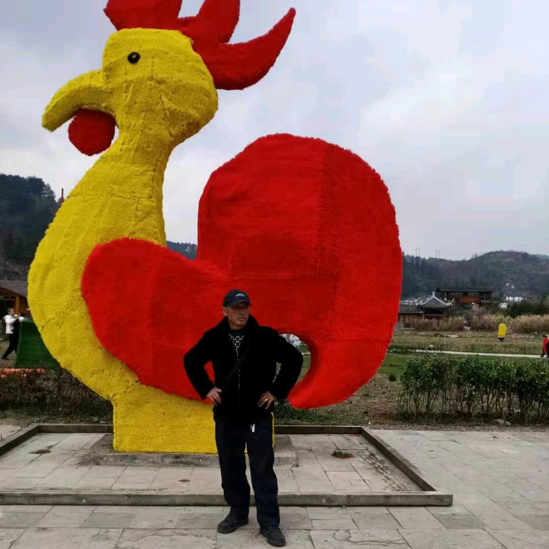 金贵