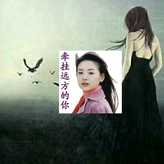 心❤海