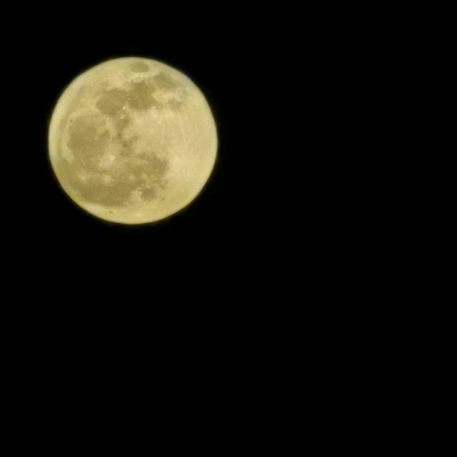 面朝黄土背朝天有汗公司职工