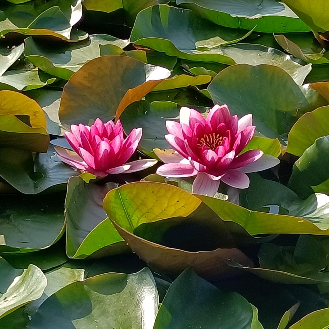 随~遇